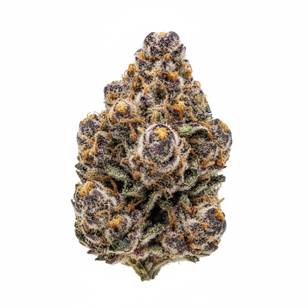 Gelato - Híbrida