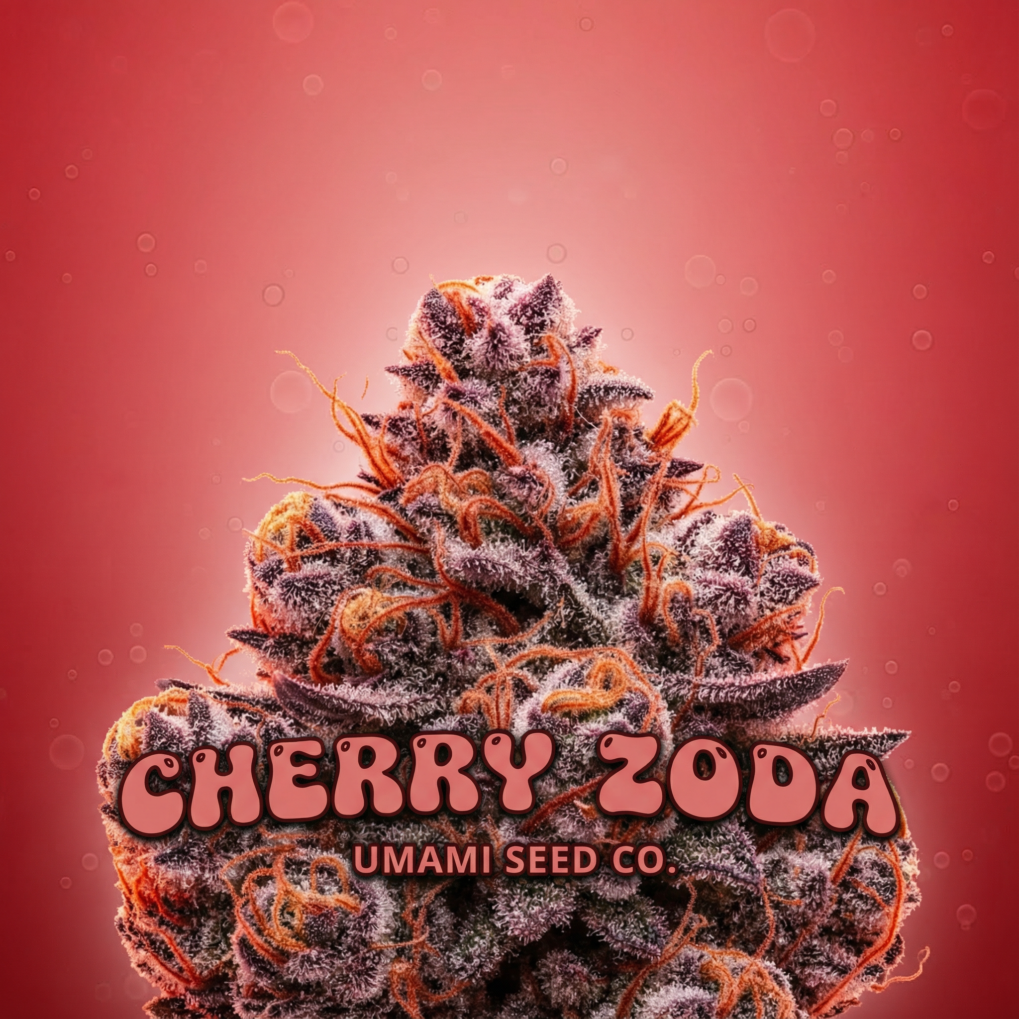 Cherry Zoda (Híbrido Sativa) – UMAMI SEED CO.