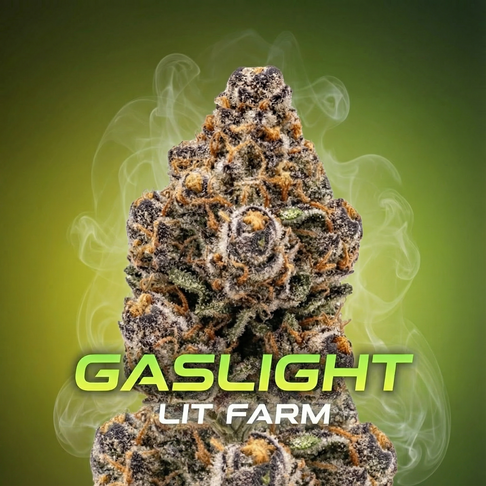 Gaslight PURPLE GHOST (Sativa Dominante) – LIT FARM