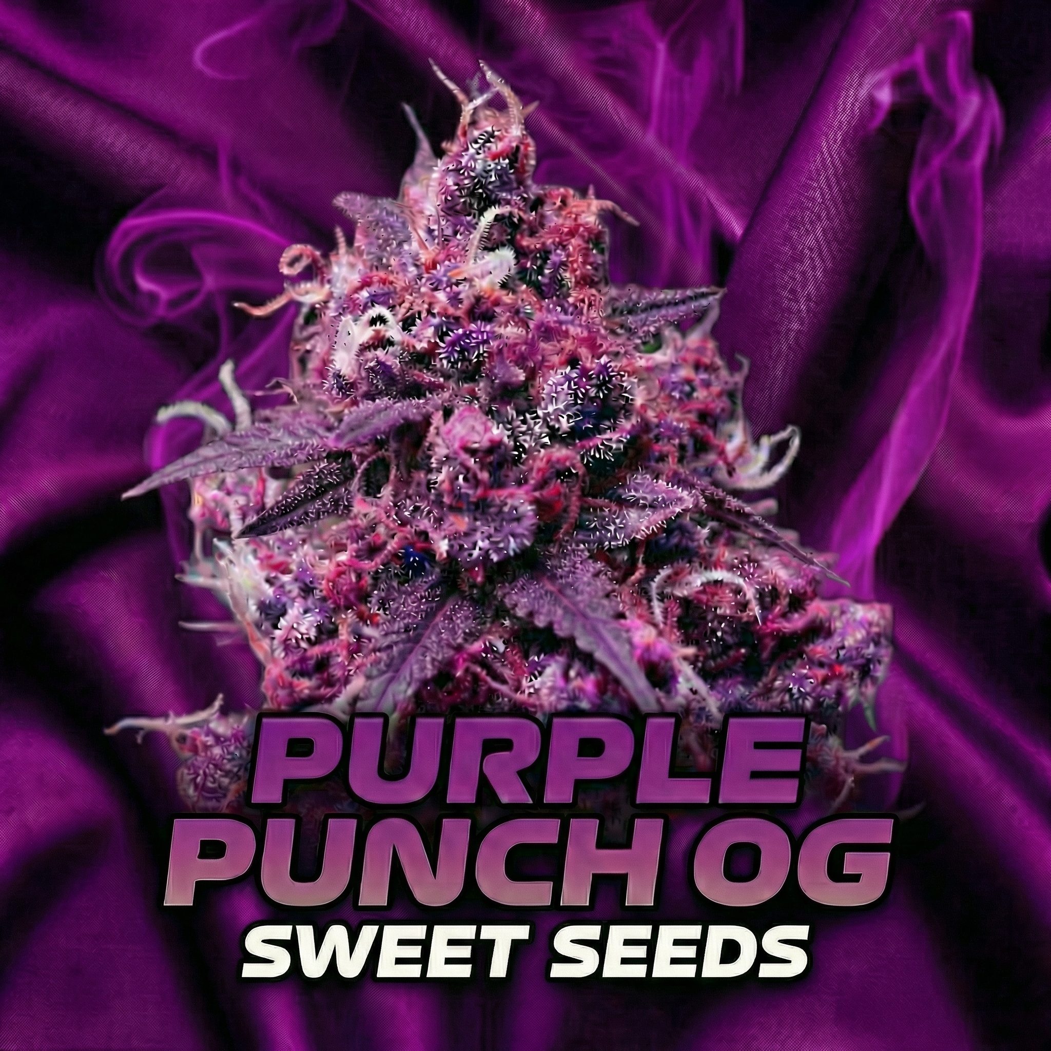 Purple Punch OG (Híbrida) - Sweet Seeds