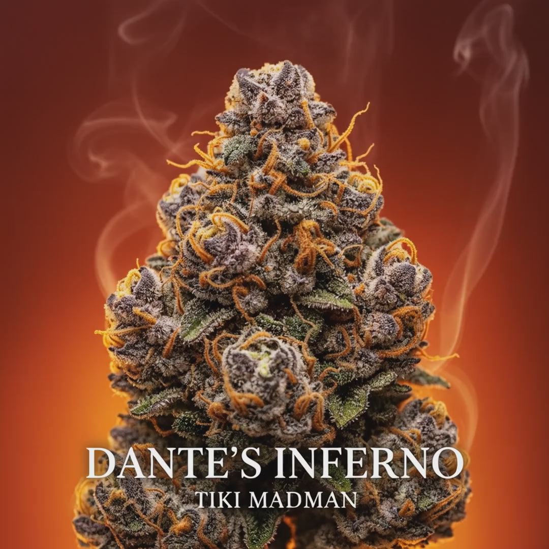 Dante's Inferno (Híbrido) – TIKI MADMAN